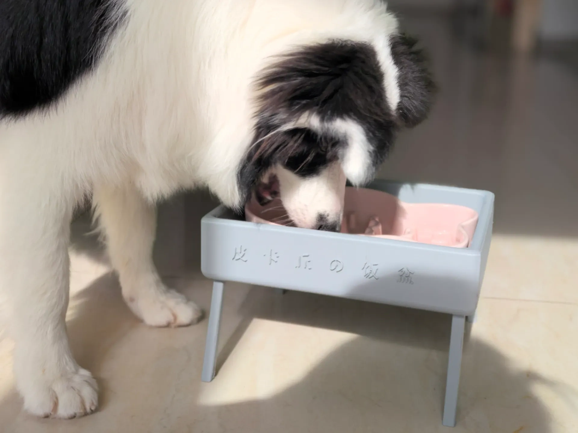 Kedi ve köpek maması potu yükseklik rafı