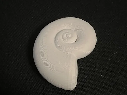 Puffy Nautilus Shell-Like Object