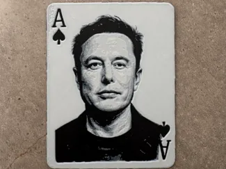 Elon Ace in the whole