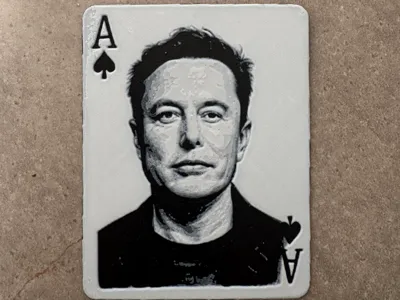 Elon Ace in the whole