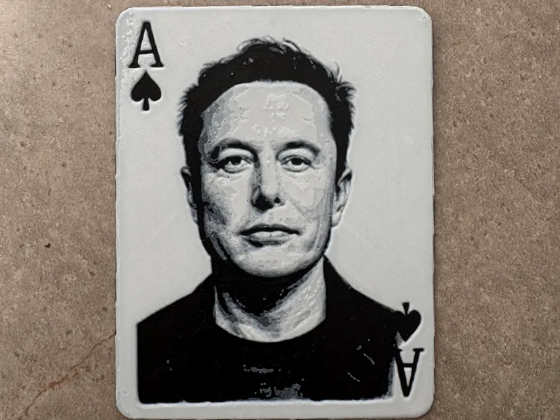 Elon Ace in the whole