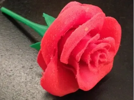 https://makerworld.bblmw.com/makerworld/model/DSM00000001088521/design/3156aaa9-7101-4269-9fab-1f81269e2e69.webp