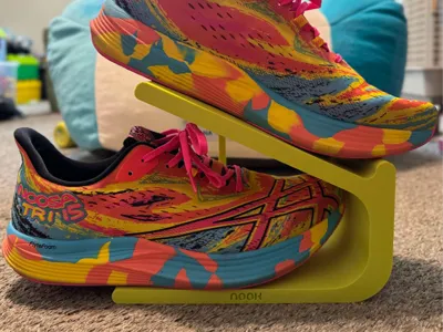 Shoe Organizer