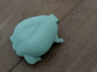 African Rain Frog