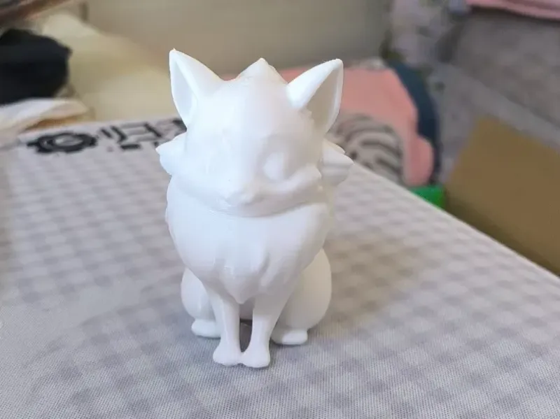 坐等你的小猫