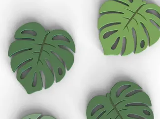 leaf coaster