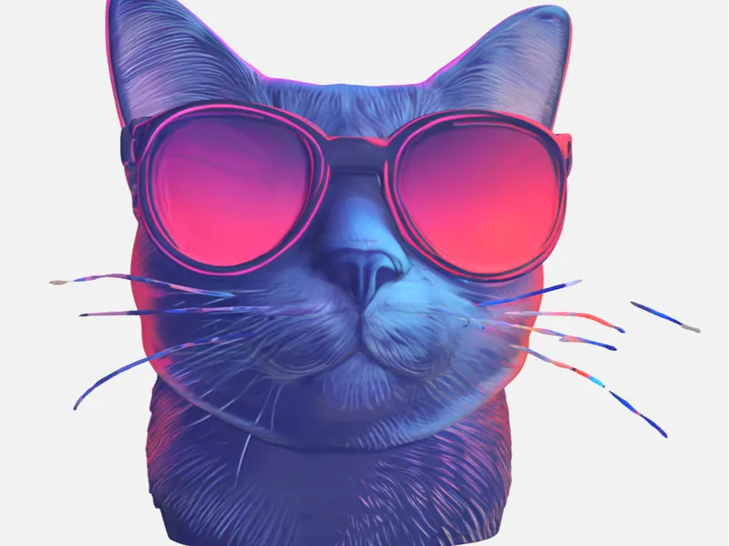 cool cat