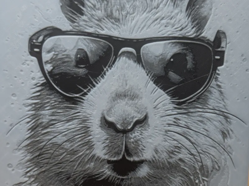 Cool Hamster