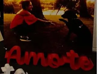 AMO-TE Photo