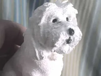 perro