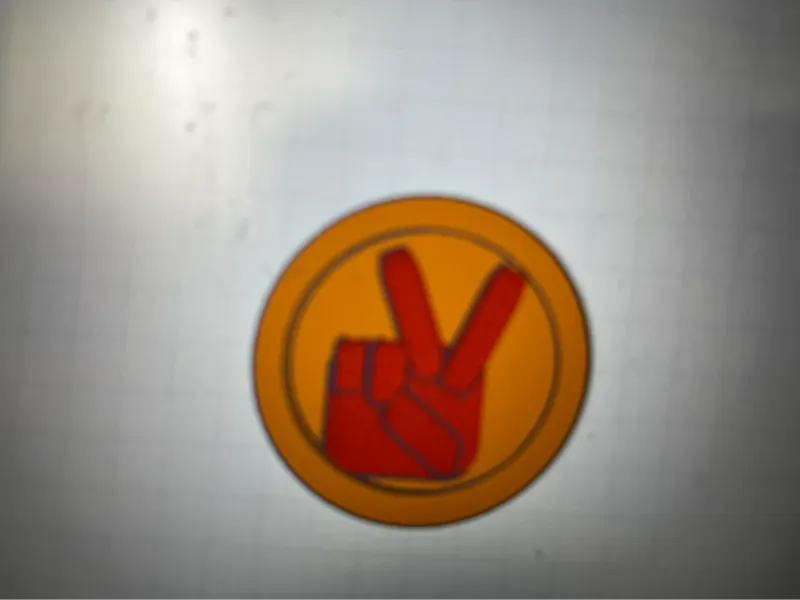 Peace Coaster