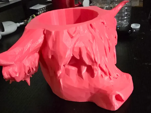 https://makerworld.bblmw.com/makerworld/model/DSM00000001095928/design/2025-02-10_765e258ae9ec8.jpg