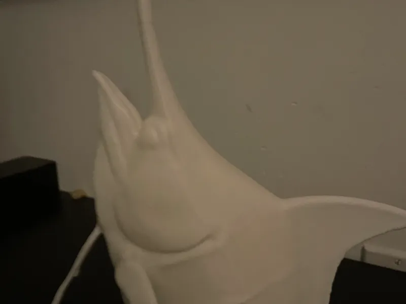 Marlin head