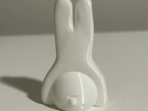 https://makerworld.bblmw.com/makerworld/model/DSM00000001096755/design/2025-02-10_a74a01cd546ab.jpg
