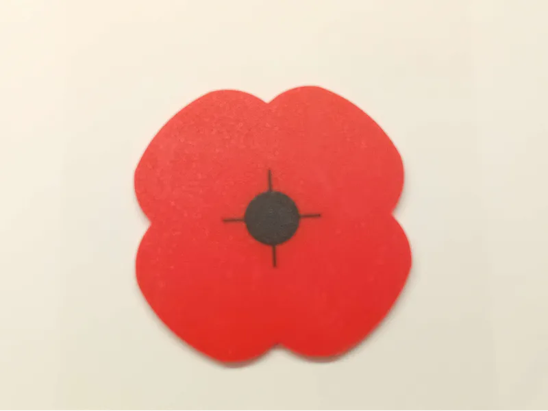 Poppy Coaster