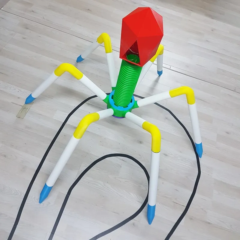 Bacteriophage - T4 Virus