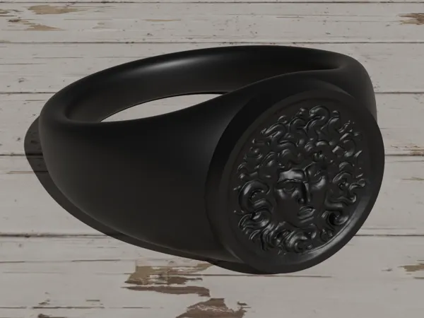 https://makerworld.bblmw.com/makerworld/model/DSM00000001098531/design/2025-02-11_a5f2c29dbd0b9.png