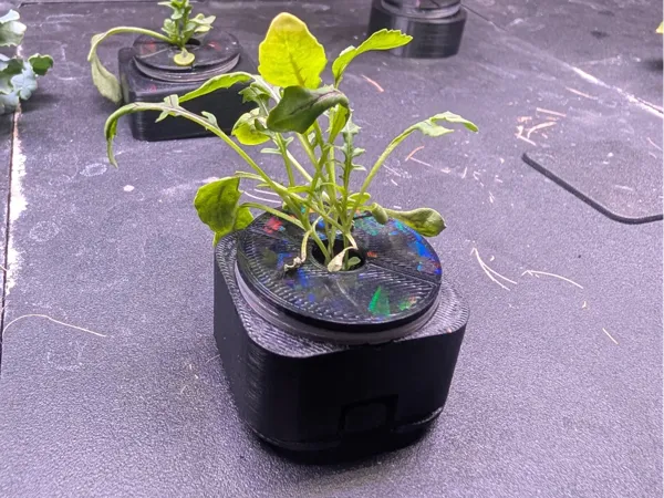 https://makerworld.bblmw.com/makerworld/model/DSM00000001099113/design/2025-02-11_9384d7ce1e411.jpg