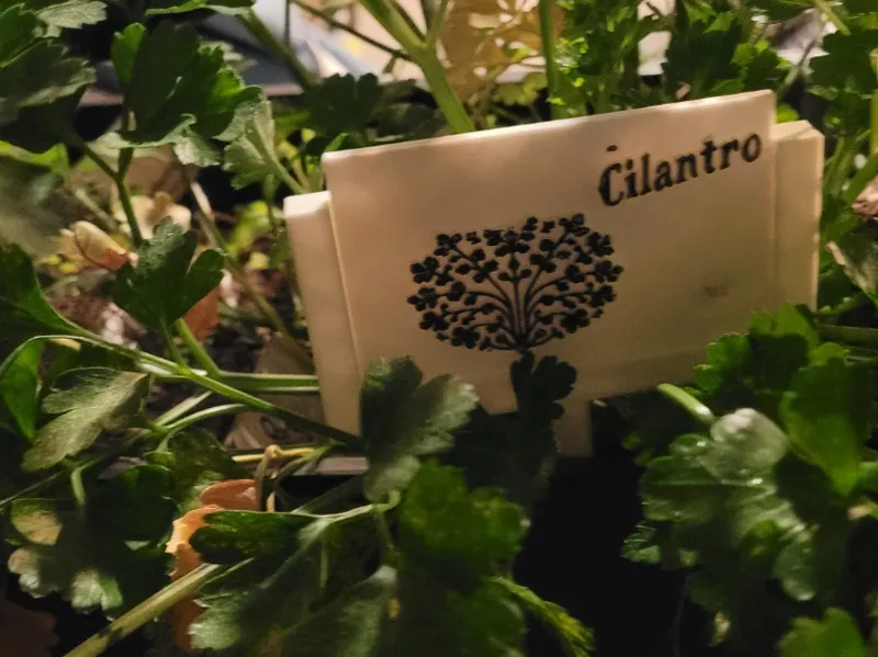 Plant Markers