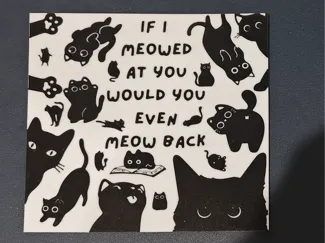 一群小黑猫