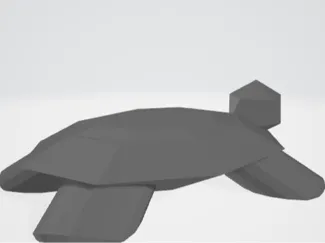 turtleFeb11