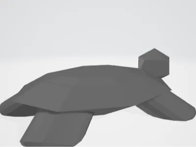 turtleFeb11