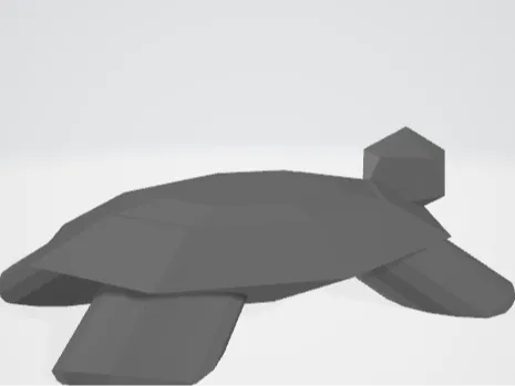 turtleFeb11