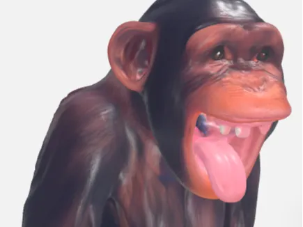 Monkey Bust