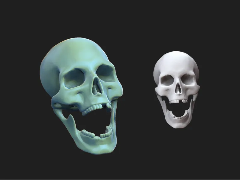 skull