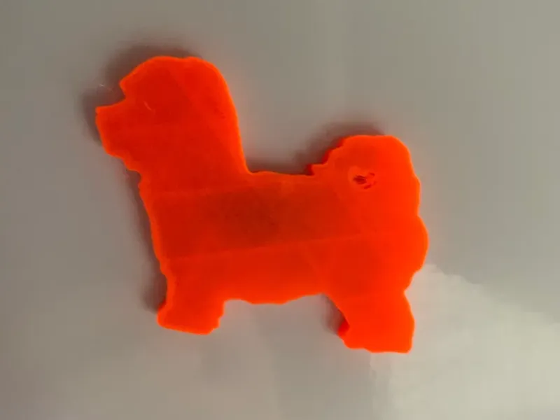 Maltipoo Dog Magnet
