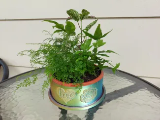 Valentine's Heart & Rose Planter Set