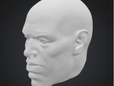 Autistic/Authentic The Rock Head For Dummy 13