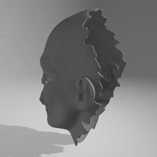 https://makerworld.bblmw.com/makerworld/model/DSM00000001107418/design/2025-02-14_117dc03f0b46d.gif