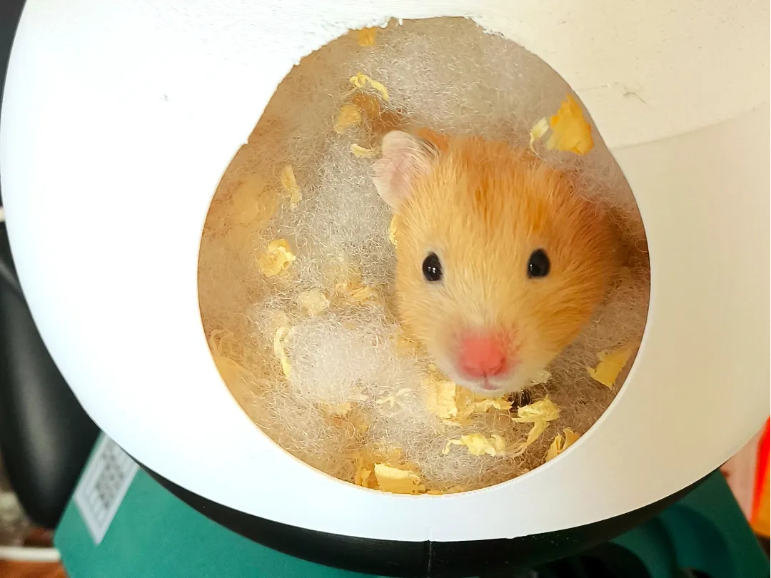 仓鼠屋 简约  易清洁 通风
