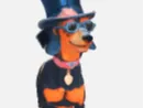 Dachshund with top hat