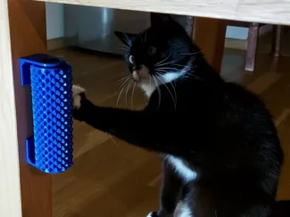 Cat Brush Roller & Treat Dispenser