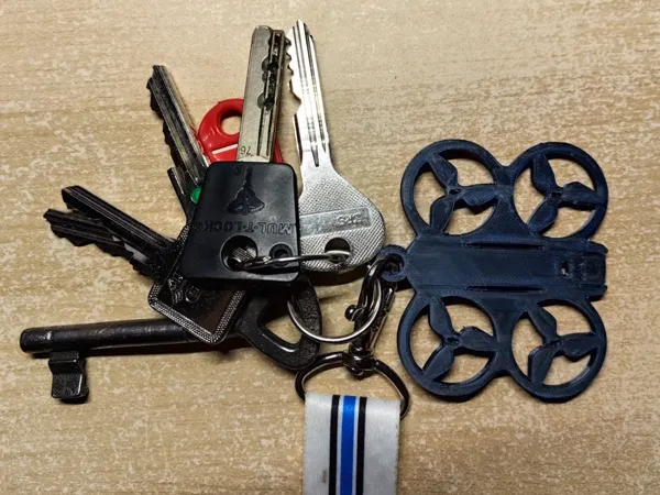 https://makerworld.bblmw.com/makerworld/model/DSM00000001109186/design/2025-02-14_a55a3fabaf41a.jpg