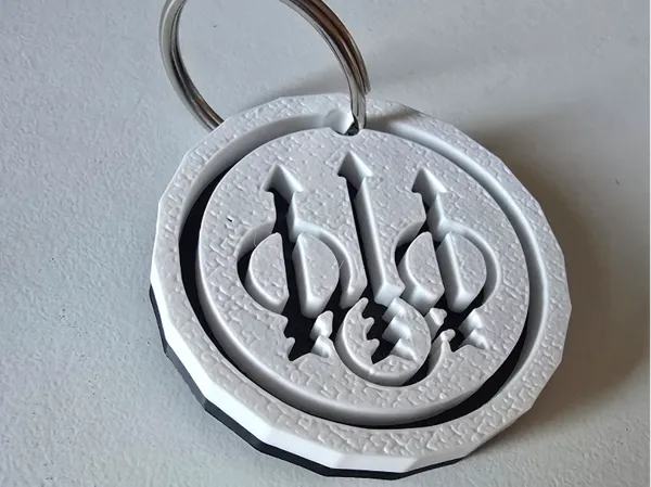 https://makerworld.bblmw.com/makerworld/model/DSM00000001111681/design/2025-02-15_26b8c3f6ea0de.jpg