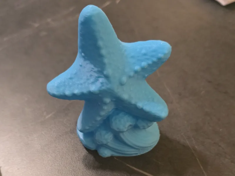 Seestern ( Sea Star ) Dekoelement