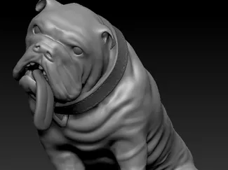 PERRO
