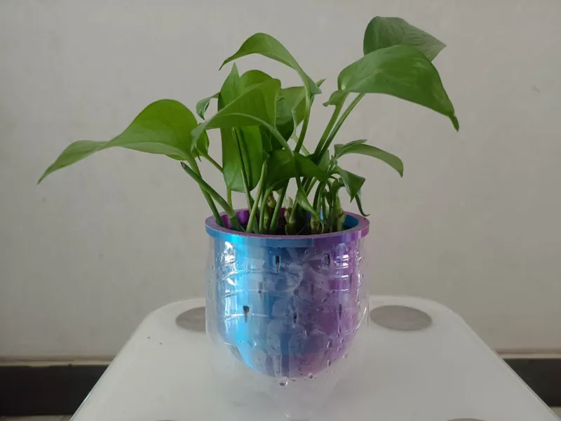 可乐瓶子花盆