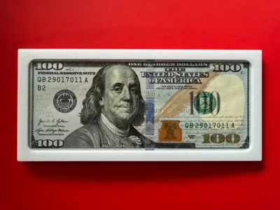Dollar Bill Frame - with Magnet