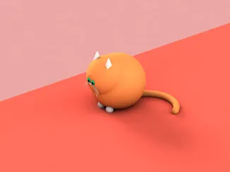 cute fat cat 