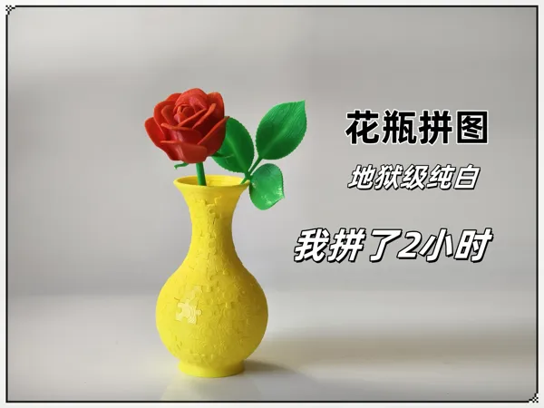 https://makerworld.bblmw.com/makerworld/model/DSM00000001118610/design/aac9aaca-b4e7-4374-b65d-6bf014cecfff.webp