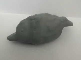 Platypus tadpole