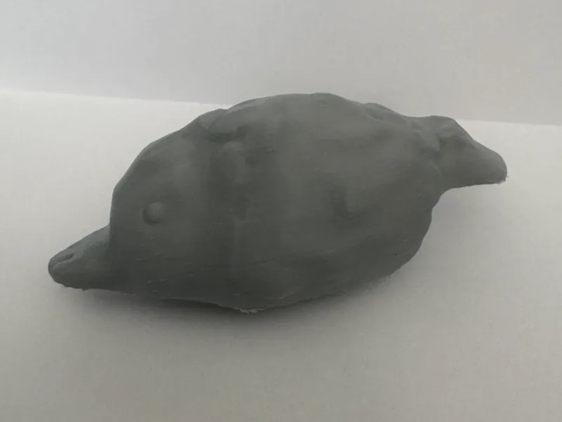 Platypus tadpole