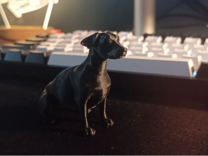 Miniature Pinscher