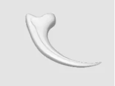 Realistic Utah raptor Claw 