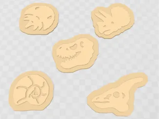 FOSSIL COOKIE CUTTERS
