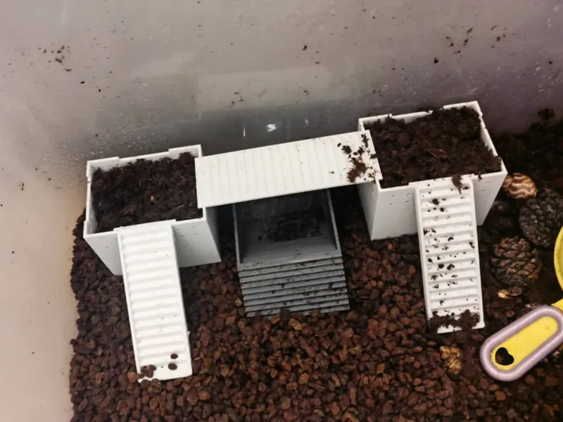 寄居蟹蜕皮桶